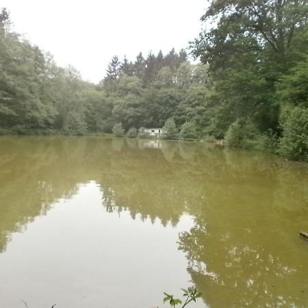 Gite Le Sous-Bois Cerfontaine Bagian luar foto