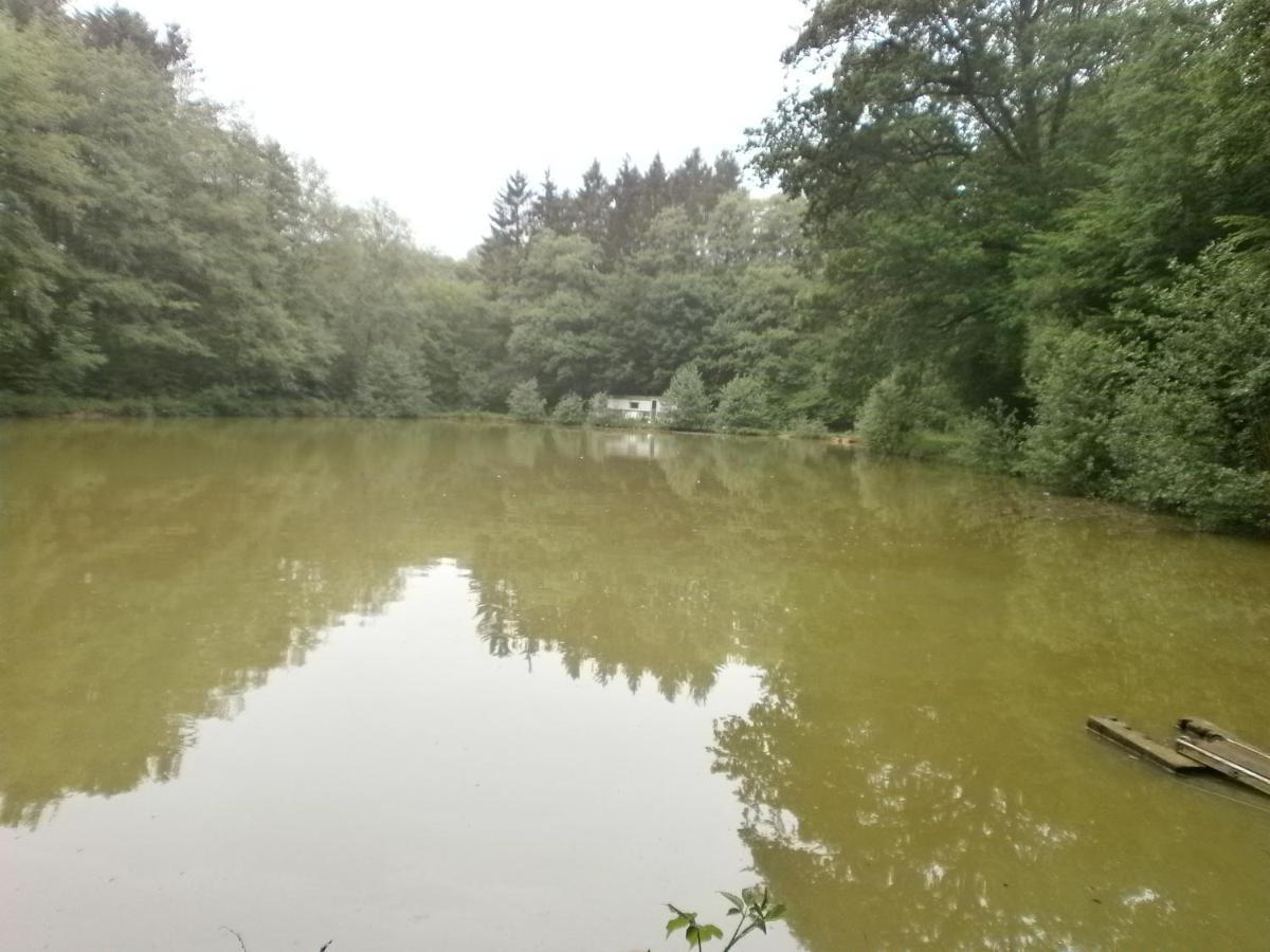 Gite Le Sous-Bois Cerfontaine Bagian luar foto